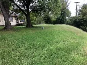 914 N Willow St, Harrison, AR 72601 photo 34