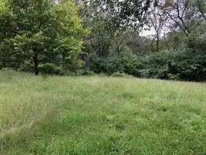 914 N Willow St, Harrison, AR 72601 photo 35