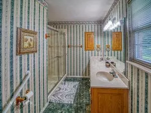 1330 Daisy Cv, Harrison, AR 72601 photo 12