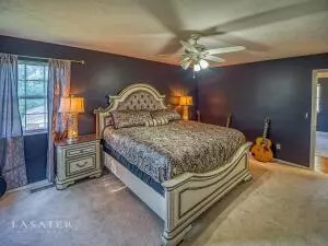 1330 Daisy Cv, Harrison, AR 72601 photo 11