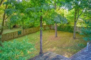 103 Rickey Dr, Harrison, AR 72601 photo 33
