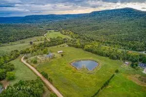5962 Terrapin Rd, Harrison, AR 72601 photo 37