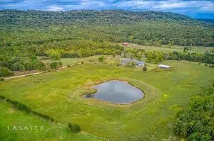 5962 Terrapin Rd, Harrison, AR 72601 photo 38