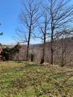102 Cardinal Ln, Jasper, AR 72641 photo 13