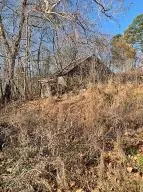 102 Cardinal Ln, Jasper, AR 72641 photo 11