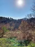 102 Cardinal Ln, Jasper, AR 72641 photo 12
