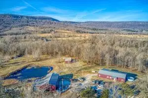 10534 Massengale Ln, Harrison, AR 72601 photo 35