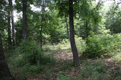 Able Drive, Saint Joe, AR 72675