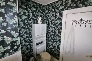 713 E Prospect, Harrison, AR 72601 photo 15