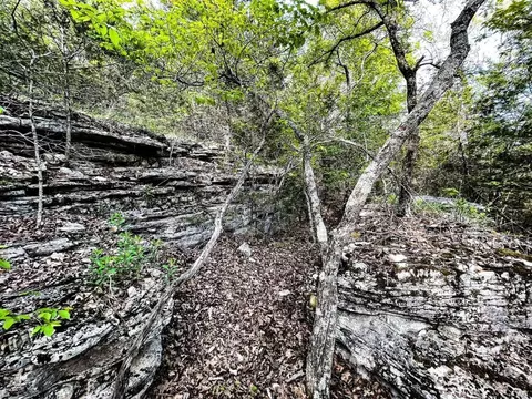 30 N Ac N 7 Hwy, Harrison, AR 72601 photo 17