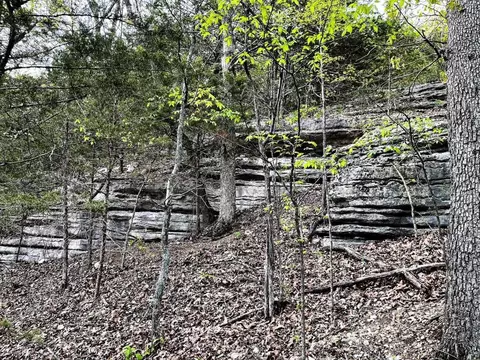30 N Ac N 7 Hwy, Harrison, AR 72601 photo 11