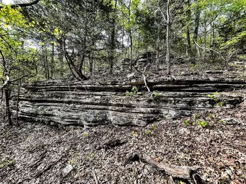 30 N Ac N 7 Hwy, Harrison, AR 72601 photo 14