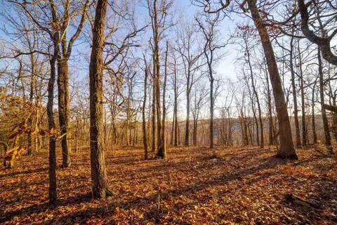 30 N Ac N 7 Hwy, Harrison, AR 72601 photo 7