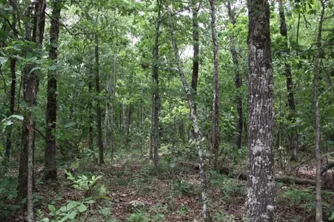 8 47 Ac Hwy 7 S, Deer, AR 72628