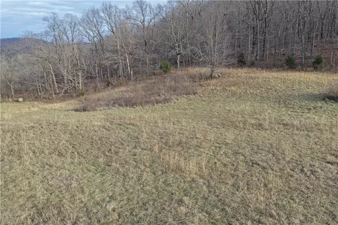 S Terrapin Road, Harrison, AR 72601 photo 32