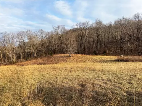 S Terrapin Road, Harrison, AR 72601 photo 11