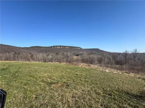 S Terrapin Road, Harrison, AR 72601 photo 22