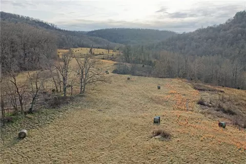 S Terrapin Road, Harrison, AR 72601 photo 34