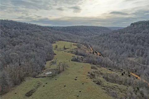 S Terrapin Road, Harrison, AR 72601 photo 24