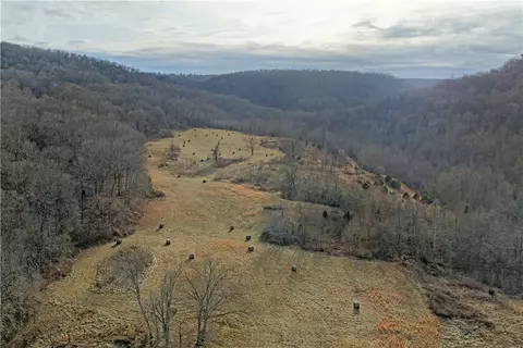 S Terrapin Road, Harrison, AR 72601 photo 14