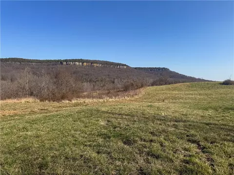 S Terrapin Road, Harrison, AR 72601 photo 19