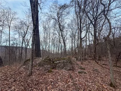 S Terrapin Road, Harrison, AR 72601 photo 5