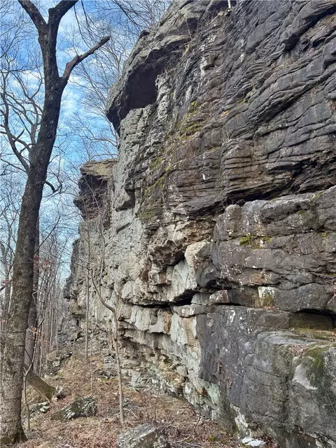 S Terrapin Road, Harrison, AR 72601 photo 3