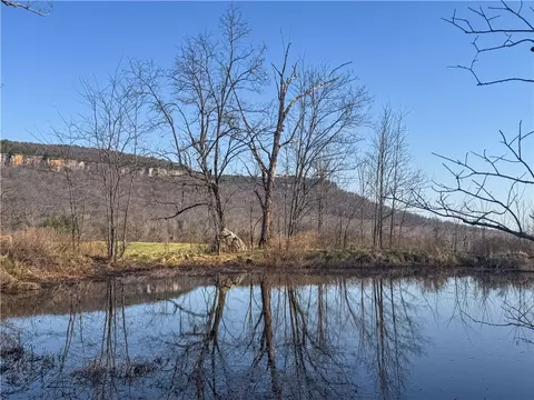 S Terrapin Road, Harrison, AR 72601 photo 8