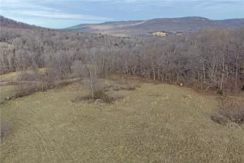 S Terrapin Road, Harrison, AR 72601 photo 30
