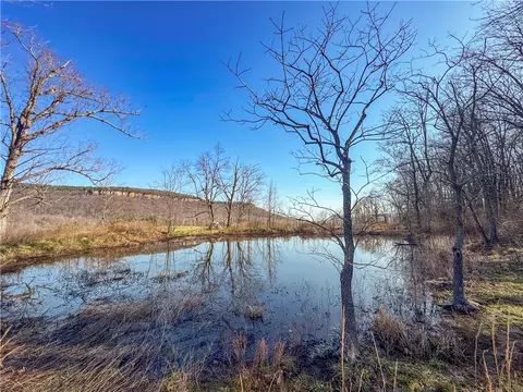 S Terrapin Road, Harrison, AR 72601 photo 9