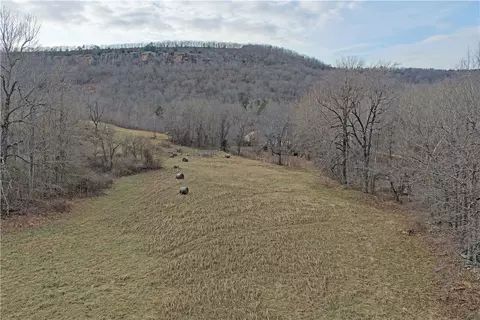 S Terrapin Road, Harrison, AR 72601 photo 27