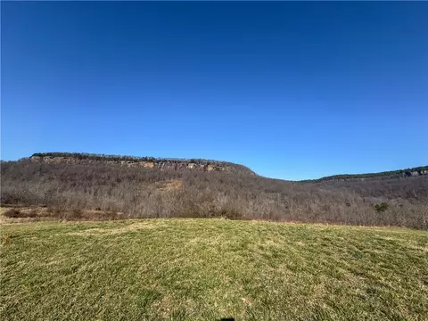 S Terrapin Road, Harrison, AR 72601 photo 21