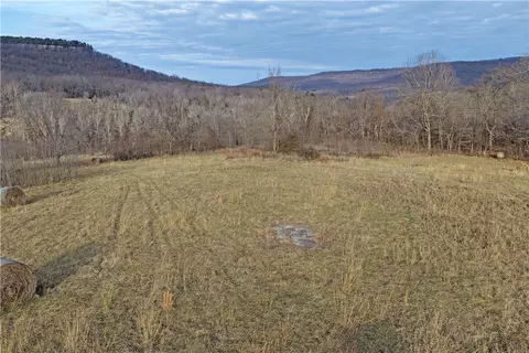 S Terrapin Road, Harrison, AR 72601 photo 33