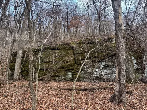 S Terrapin Road, Harrison, AR 72601 photo 4
