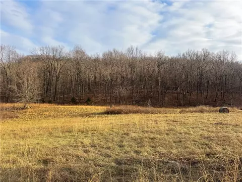 S Terrapin Road, Harrison, AR 72601 photo 12