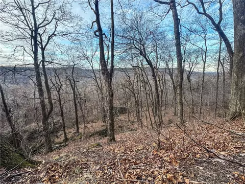 S Terrapin Road, Harrison, AR 72601 photo 18
