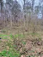 220 Old Hwy 27, Marshall, AR 72650 photo 6