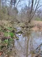 220 Old Hwy 27, Marshall, AR 72650 photo 2