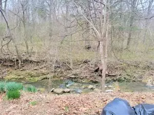 220 Old Hwy 27, Marshall, AR 72650 photo 3