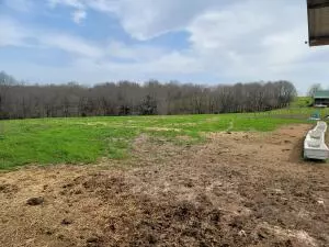 5184 Harmon Rd, Harrison, AR 72601 photo 45