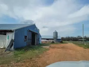 5184 Harmon Rd, Harrison, AR 72601 photo 23