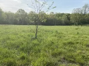 892 Joe Arnold Rd, Harrison, AR 72601 photo 6