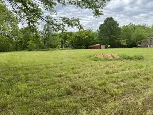 892 Joe Arnold Rd, Harrison, AR 72601 photo 4