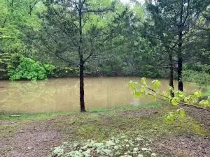 233 Hc 72, Jasper, AR 72641 photo 30