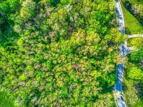 Speer Drive, Harrison, AR 72601 photo 3