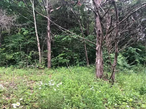 673 Caverns Dr, Harrison, AR 72601 photo 1