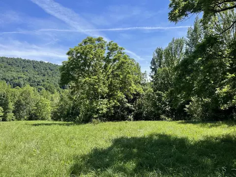 Tract 5 Terrapin Road, Harrison, AR 72601