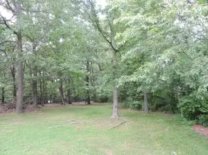 602 Deerfield Dr, Harrison, AR 72601 photo 28