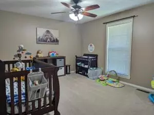 112 Watts St, Harrison, AR 72601 photo 14