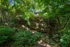 1479 Co Rd 972, Compton, AR 72624 photo 16